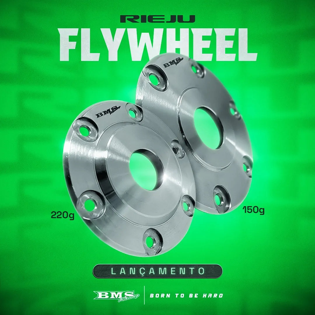 Peso del Magneto (Flywheel) para RIEJU 250/300 2T (2024-2025)